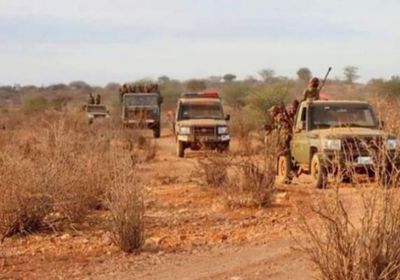 مصرع 15 إرهابيا من حركة الشباب الصومالية بقصف جوي