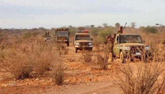 مصرع 15 إرهابيا من حركة الشباب الصومالية بقصف جوي