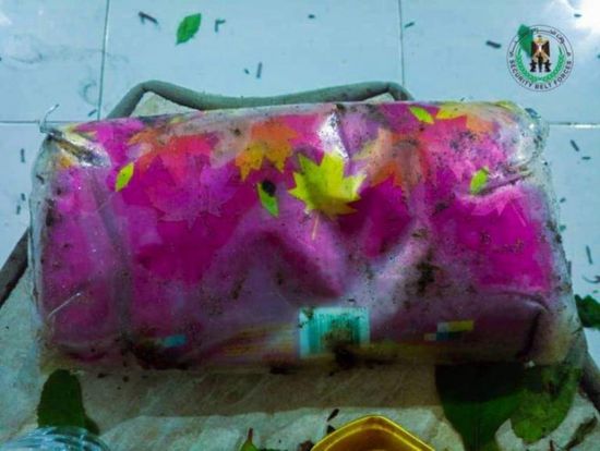 خلال تمشيط ساحل أبين.. حزام طوق عدن يضبط 10 كيلوجرام حشيش