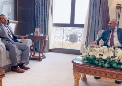 الرئيس الزُبيدي يطلع على جاهزية المقاومة بالبيضاء لردع الحوثي