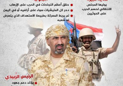 حسم الحرب على الحوثيين.. الجنوب والمنظور الشامل (إنفوجراف)