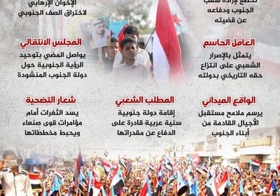 الجنوب على مفترق طرق (إنفوجراف)