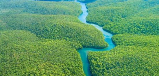 اقتراح بإنشاء شرطة  فيدرالية لحماية غابات الأمازون