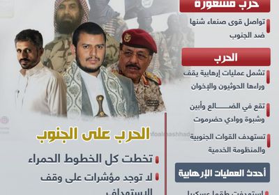 الحرب على الجنوب تبلغ ذروتها (إنفوجراف)