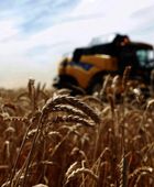 بـ 6 أشهر.. صادرات القمح الروسية تتخطى 22 مليون طن