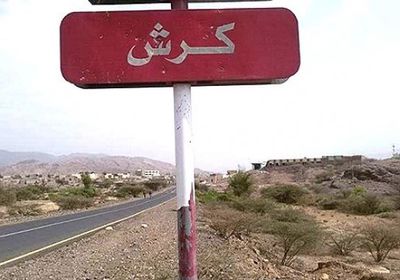 مسيرة حوثية تعتدي على منطقة سكنية في كرش