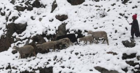 ارتفاع حصيلة الطقس السيء في أفغانستان