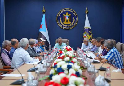 اقتصادية الانتقالي تؤكد: نرفض قرارات زيادة الدولار الجمركي وتعرفة الكهرباء