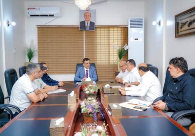 ترتيبات لإطلاق مشروع المحطة الشمسية الإماراتية في عدن