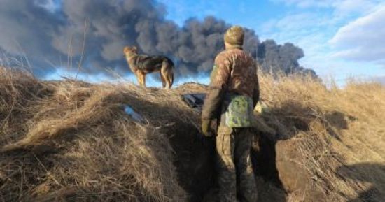 روسيا: الجميع يريد إنهاء الأزمة الأوكرانية 