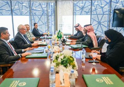 آل جابر وليندركينج يبحثان جهود السعودية لدعم السلام