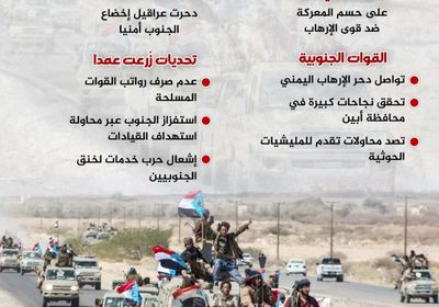 حرب الجنوب على الإرهاب.. مستمرون رغم العراقيل (إنفوجراف)