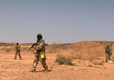 مقتل 10 جنود على الأقل في كمين بالنيجر