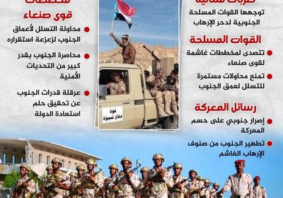 الجنوب يدحر مخططات تسلل الإرهاب (إنفوجراف)