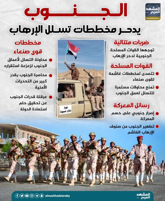 الجنوب يدحر مخططات تسلل الإرهاب (إنفوجراف)