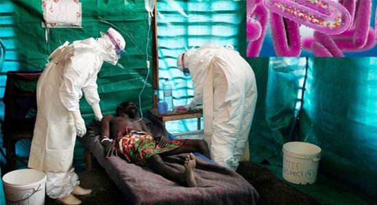 فيروس ماربورغ يقتل 9 أشخاص في غينيا الاستوائية