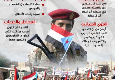 الجنوبيون.. يقين راسخ بالانتصار (إنفوجراف)