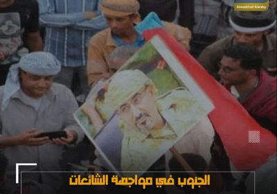 الجنوب في مواجهة الشائعات.. إيمان راسخ بالانتصار (فيديوجراف)