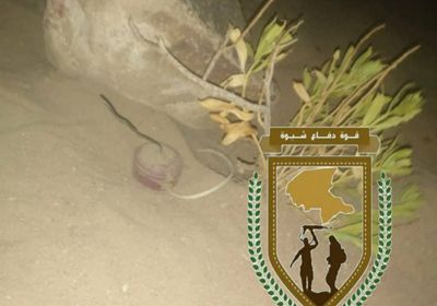 القوات الجنوبية تحبط ثان عملية إرهابية بشبوة