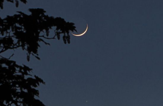 غدًا.. الإفتاء المصرية تستطلع هلال شهر شعبان