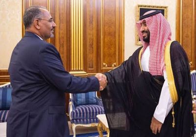 الجنوب والسعودية.. دفء العلاقات رغم أنف قوى الشر والإرهاب