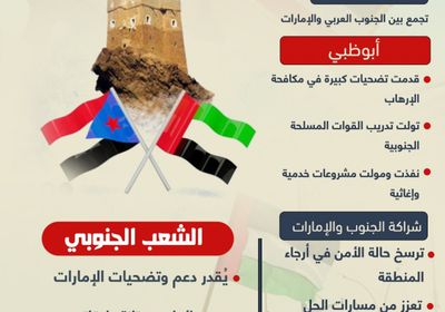 الجنوب والإمارات.. شراكة السلم والاستقرار (إنفوجراف)