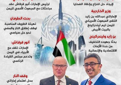 الدبلوماسية الإماراتية تتبنى جهود السلام (إنفوجراف)