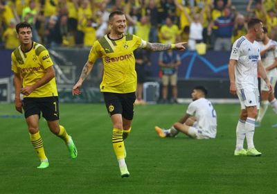موعد مباراة بروسيا دورتموند وهوفنهايم بالدوري الألماني