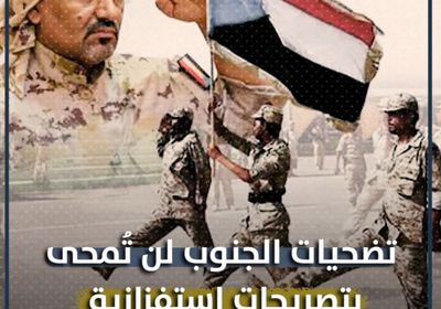 تضحيات ‫الجنوب‬ لن تُمحى بتصريحات استفزازية (فيديوجراف)