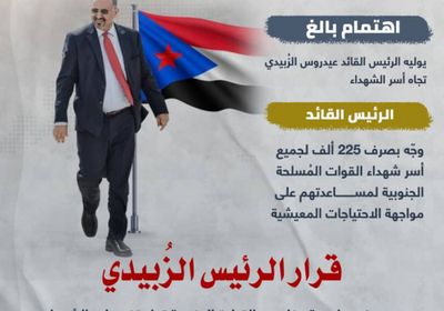 تضحيات شهداء الجنوب.. محل تقدير القيادة (إنفوجراف)