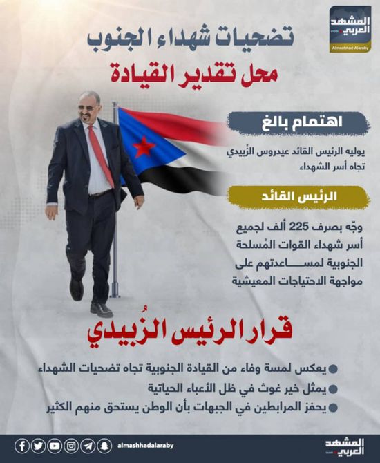 تضحيات شهداء الجنوب.. محل تقدير القيادة (إنفوجراف)