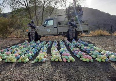 ضبط 282 يمنيا بعمليات تهريب قات ومخدرات للسعودية