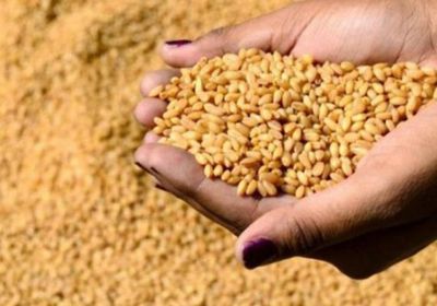 مخزون مصر من السلع الاستراتيجية بين 3.3 و5 أشهر