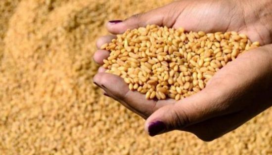 مخزون مصر من السلع الاستراتيجية بين 3.3 و5 أشهر