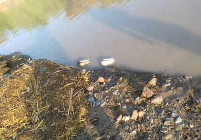 السيول تجرف ألغاما إلى عسيلان وبيحان