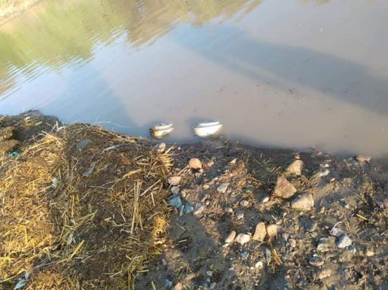 السيول تجرف ألغاما إلى عسيلان وبيحان