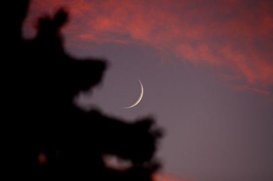 رسميا.. الخميس غرة شهر رمضان في الجنوب