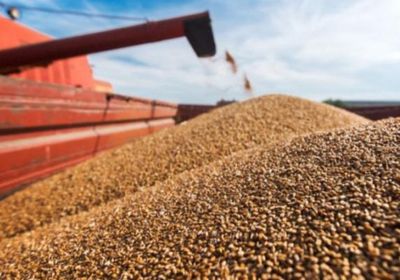 مخزون القمح في المغرب يكفي لـ 3 أشهر
