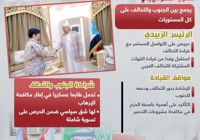 شراكة الجنوب والتحالف.. جسر تحقيق الأمن والاستقرار (إنفوجراف)