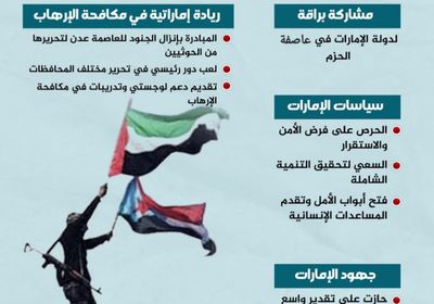 عاصفة الحزم.. نهج الإمارات الذي أبهر الجميع (إنفوجراف)