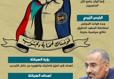 الانتقالي الجامع للجنوبيين (إنفوجراف)