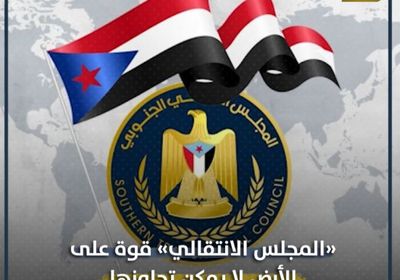 ‫المجلس الانتقالي‬.. قوة على الأرض لا يمكن تجاوزها (فيديوجراف)‫