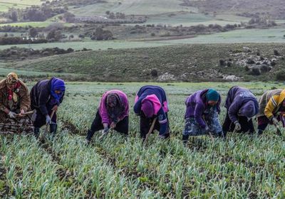 تونس تبدأ نظام الحصص للتزود بمياه الشرب