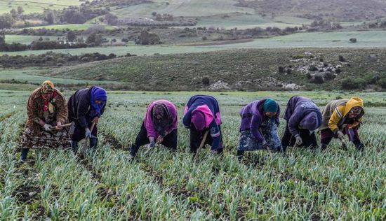 تونس تبدأ نظام الحصص للتزود بمياه الشرب