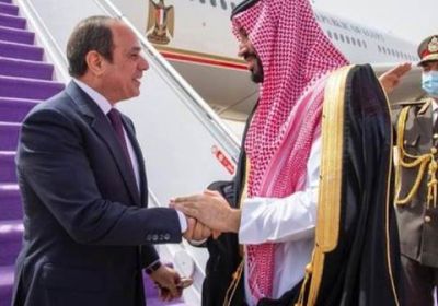 ولي العهد السعودي يبحث مع الرئيس المصري القضايا المشتركة