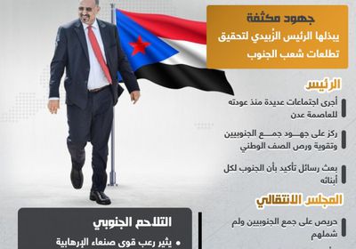 الرئيس الزُبيدي يجمع شعبه للعبور إلى بر الأمان (إنفوجراف)