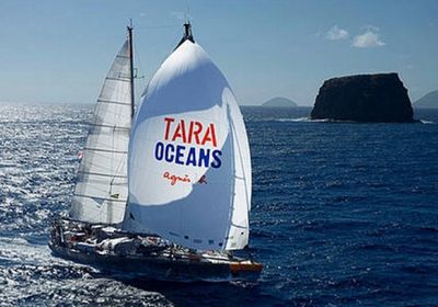 "تارا" ينطلق من فرنسا لرصد التلوث على السواحل الأوروبية
