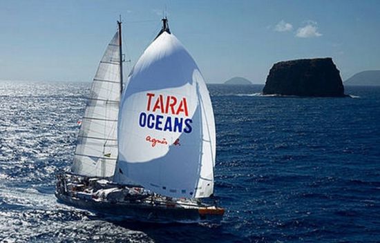 "تارا" ينطلق من فرنسا لرصد التلوث على السواحل الأوروبية