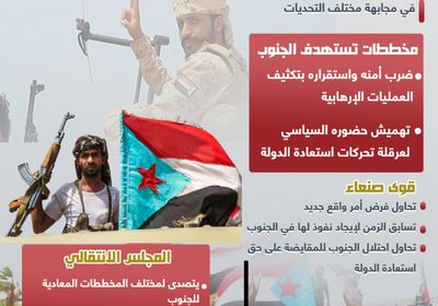 الجنوب يتصدى لمخطط فرض واقع جديد (إنفوجراف)