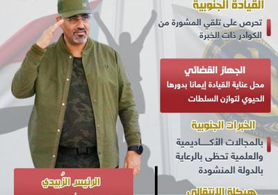 الجنوب يقوي قواعد مؤسساته (إنفوجراف)